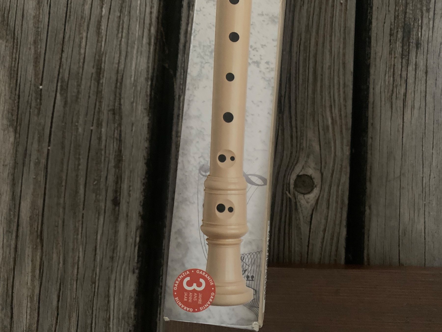 Strumenti musicali: Blockflöte – Usato da Brugg AG venduto da Simone92 1