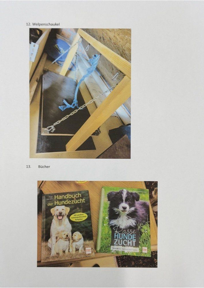 Livres: Aussteuer Hundezucht – D'occasion à St. Gallen par isa_bl27 6