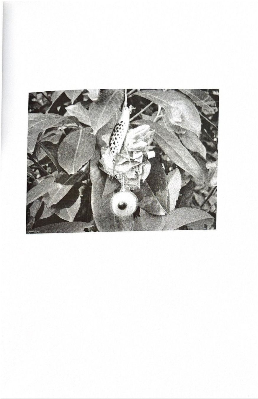 Libri: Eberhard Peter, Oktaeder - Spy-cam Sketches – Nuovo (secondo la descrizione) da Sarnen venduto da Livres 8