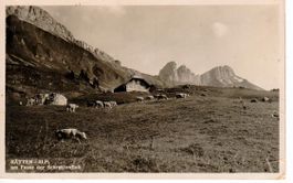 Bätten Alp am Fusse der Schrattenfluh