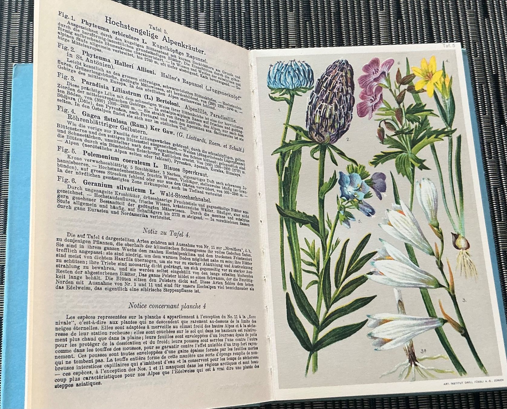 Bücher: Alpen-Flora - Prof. E. Schröter, 207 kol. Abbildungen, 1940 – Gebraucht aus Crans-Montana von plainemorte 4