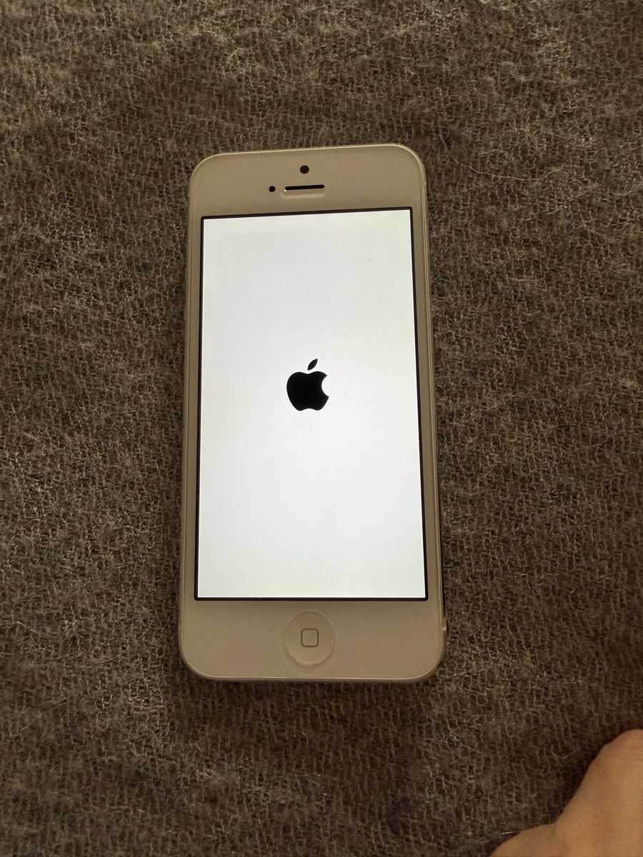 Apple Telefoni cellulari / Smartphones: Apple iPhone 5 weiss – Usato da Winterthur venduto da Gluecksli