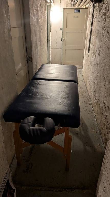 Sedie a sdraio: Massagetisch robust aus Echtleder – Usato da Zürich venduto da Blaubeermuffin_25 1