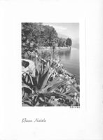Ascona Buon Natale foto vintage