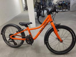 Naloo Chameleon 20 Zoll