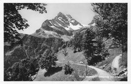 Braunwald hohenweg mit ortstock