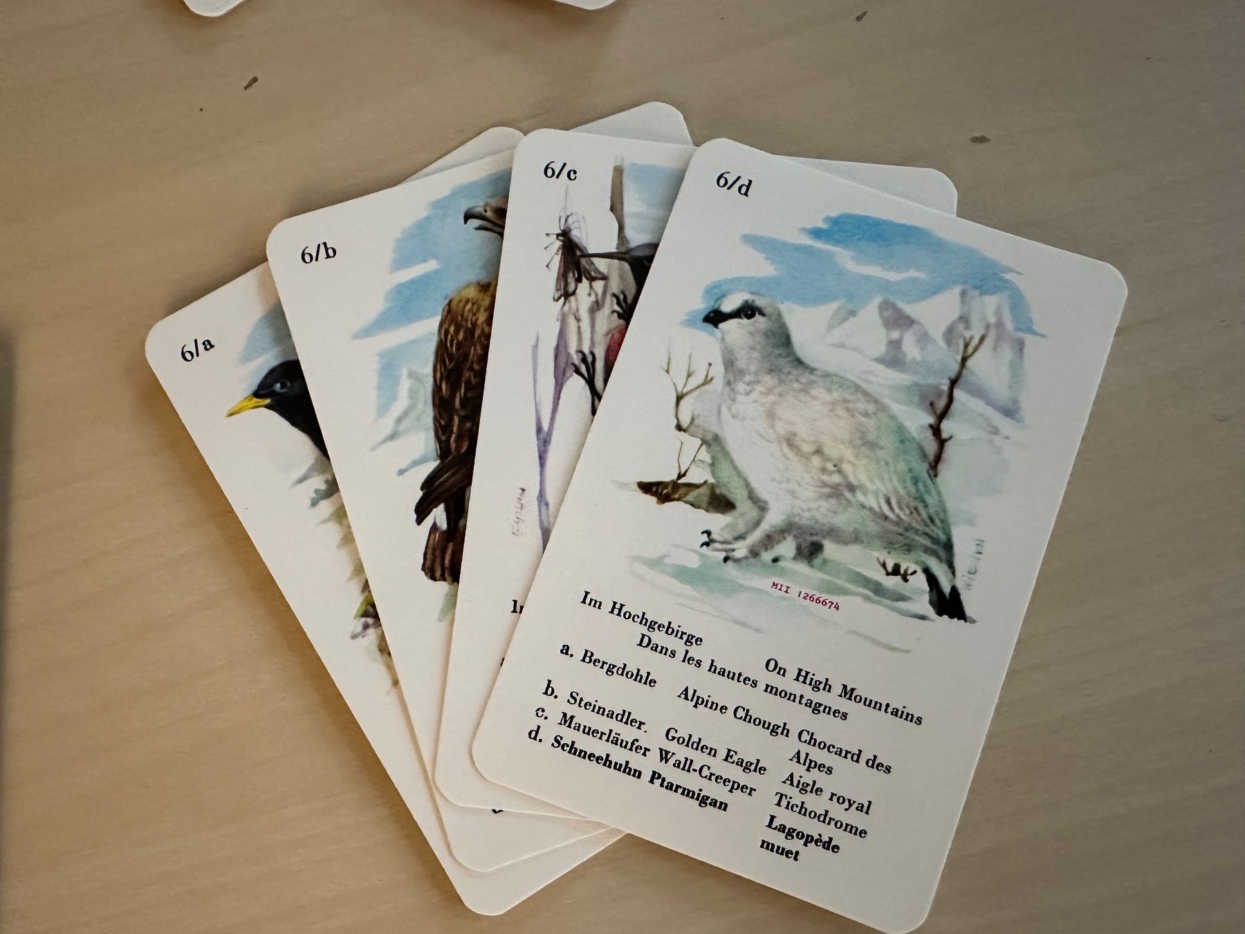 Giochi: Quartett Heimische Vogelwelt – Usato da Bülach venduto da Jubet 5