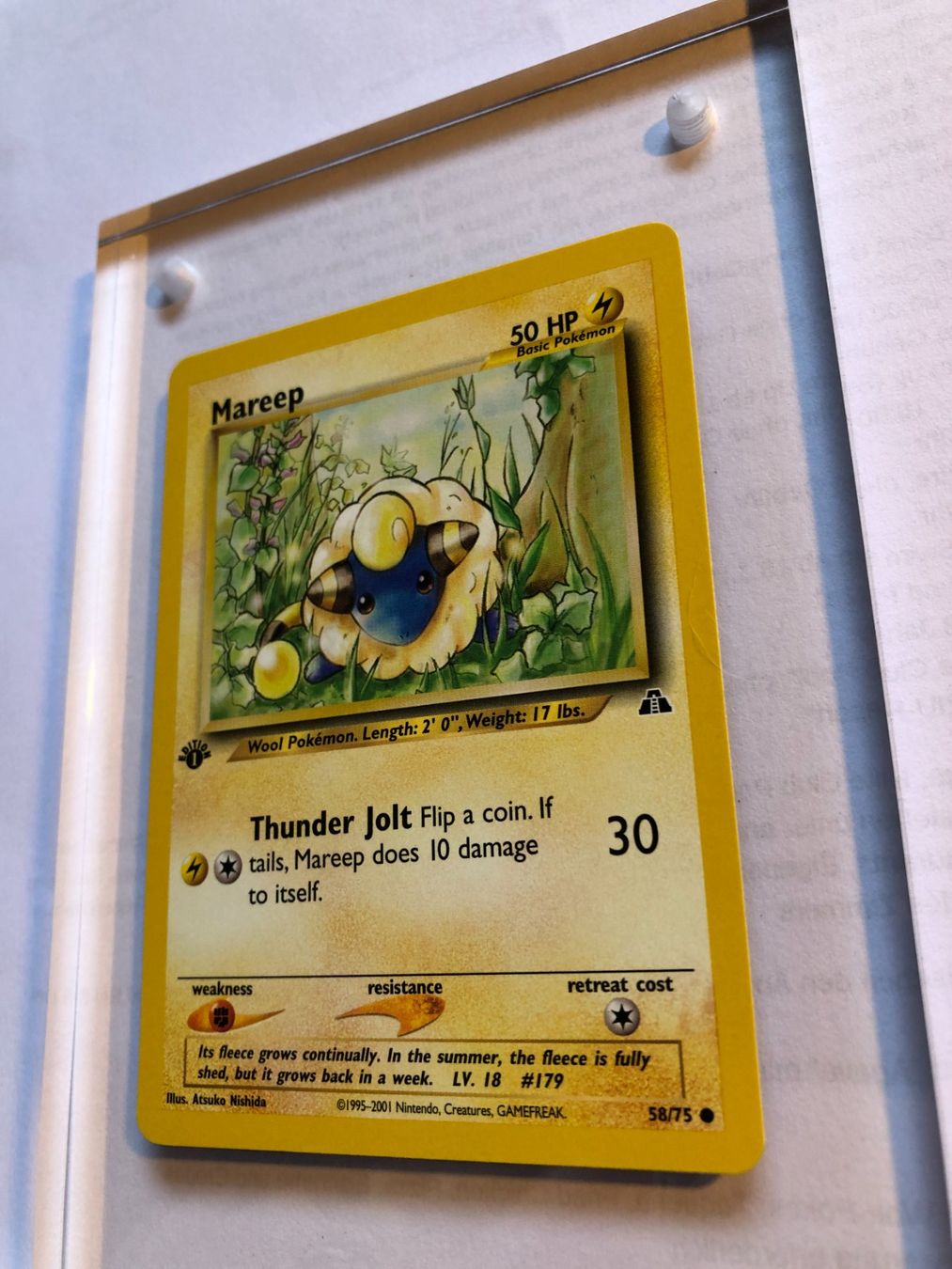 Carte collezionabili: Mareep 1st Neo Discovery - MINT - ab 1.- – Usato da Giubiasco venduto da dan_pr8b 2