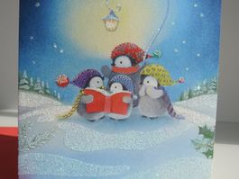 Besondere Weihnachtskarten (Doppelkarten und Kuverts)