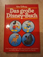 Walt Disney Das grosse Disney-Buch mit Geschichten, 1980