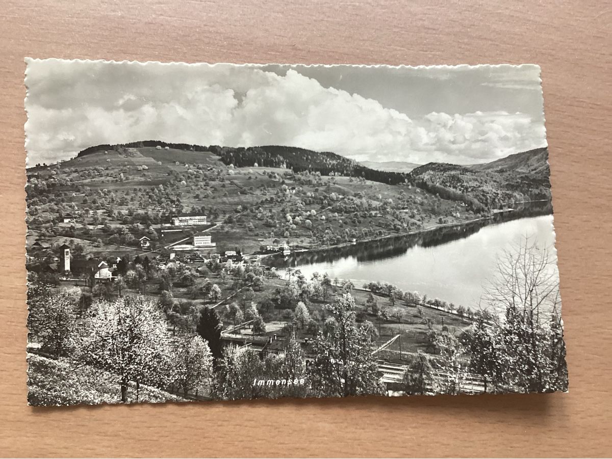 Cartoline postali: AK Immensee – Usato da Wassen UR venduto da SABDOM
