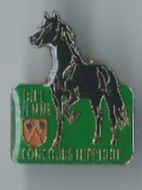 Plaketten & Abzeichen: Concours Hippique Biel 1981, Pin – Gebraucht aus Zürich von t24_de