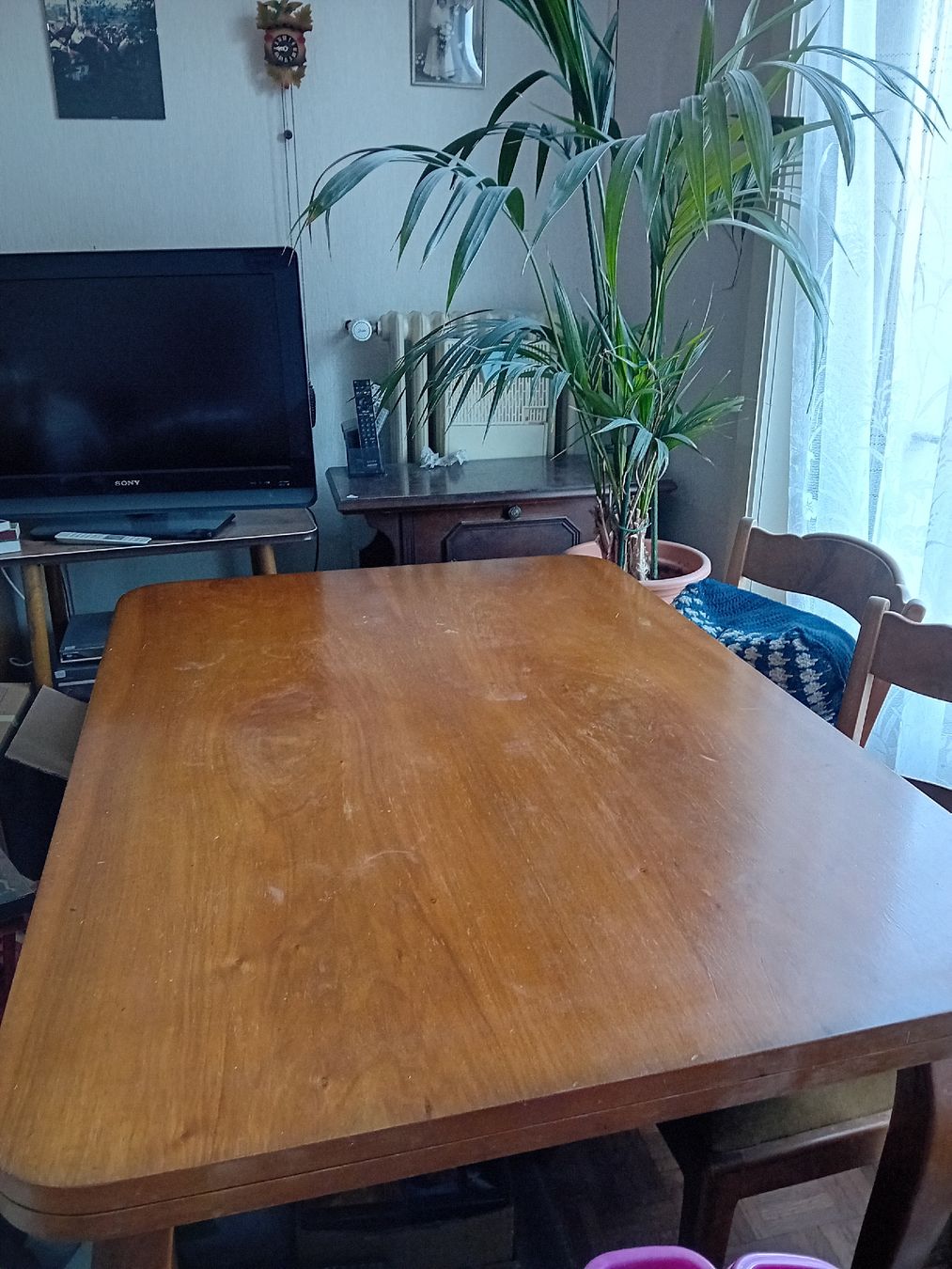 Tavoli: Table avec 2 rallonges – Usato da Fribourg venduto da von_8kxp