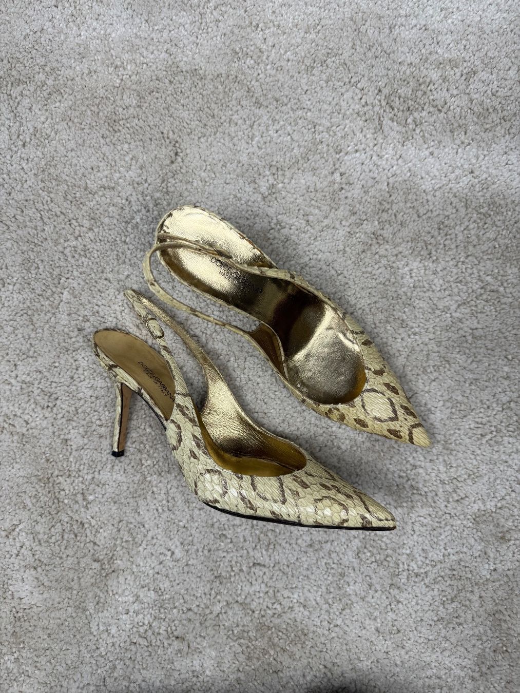 Dolce & Gabbana Scarpe da donna: D&G Highheels Schlangenleder – Usato da St.Gallen venduto da chantalmaag