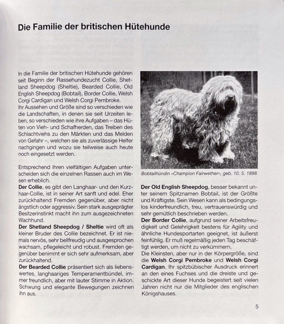 Libri: Müller Barbara, Britische Hütehunde – Nuovo (secondo la descrizione) da Sarnen venduto da Livres 4