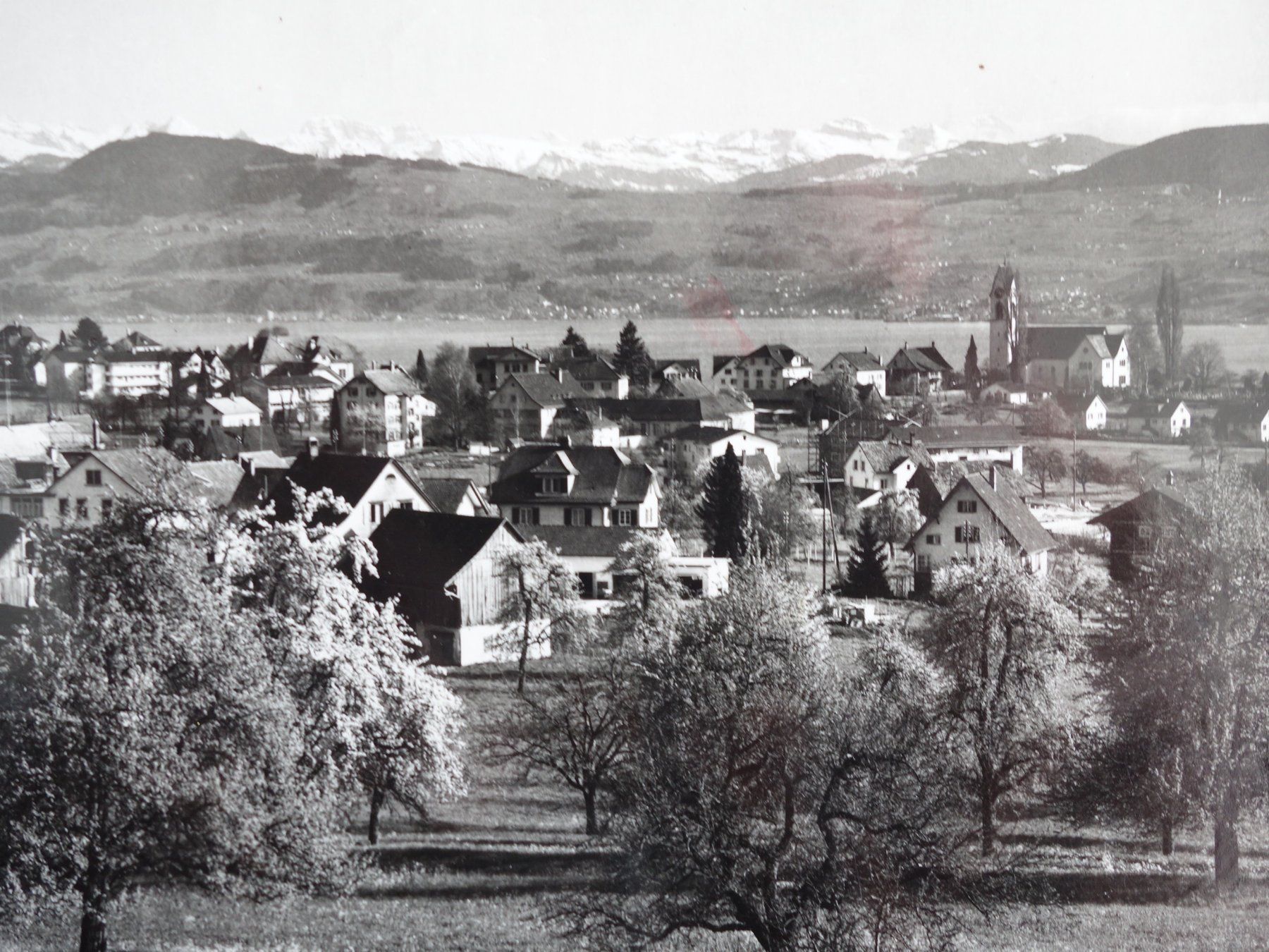 Cartes postales: UETIKON - mit den Alpen - ca. 1960 – D'occasion à Ibach par Ibanto 1