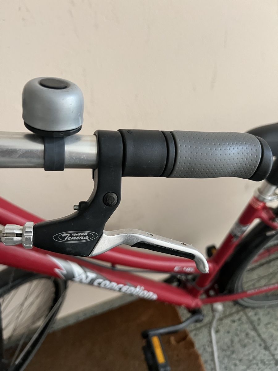 Biciclette: Ladies bicycle - Ready for Summer – Usato da Horgen venduto da Leandro_Braga 1