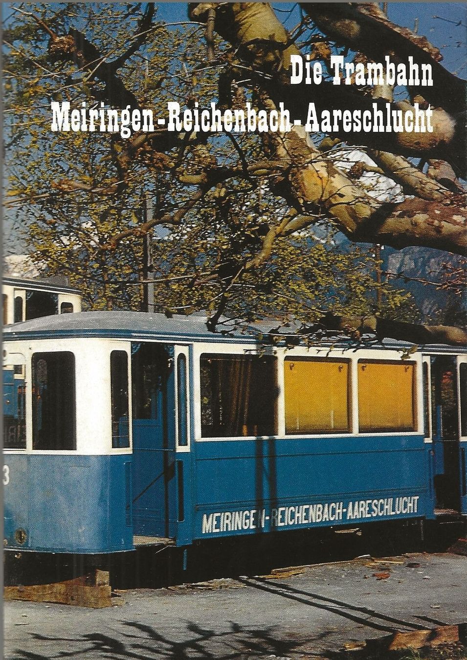 Libri: Die Trambahn Meiringen-Reichenbach-Aareschlucht – Usato da Bern venduto da Grindelwaldaus