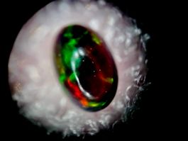 0,8 ct Natural Play-of-Color Black Opal