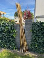 Bambus-Stangen L = ca. 210 cm, 36 Stück