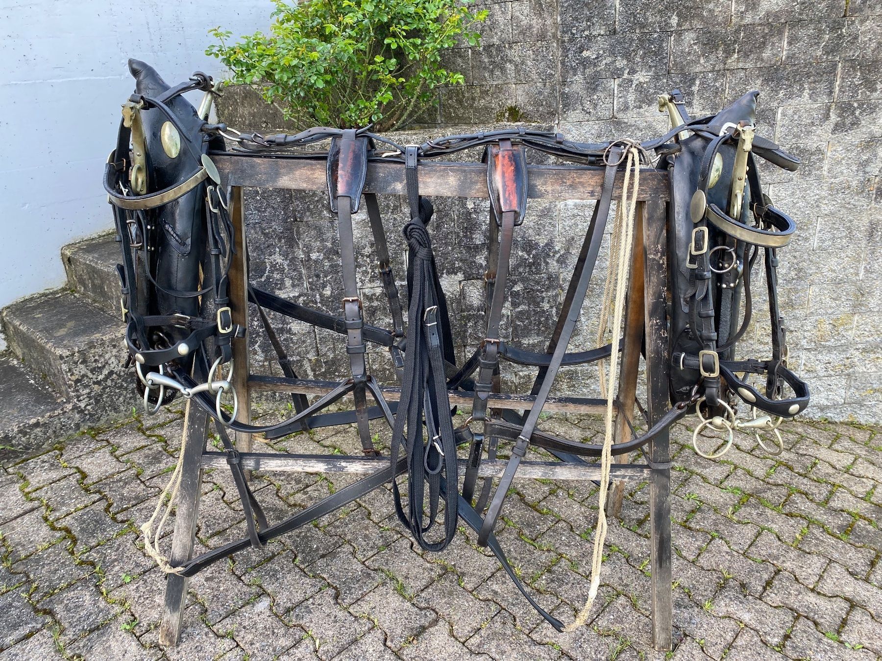 Carrozze: 1 Paar schöne Bündnergeschirre – Usato da Feldbach venduto da Fea1 9