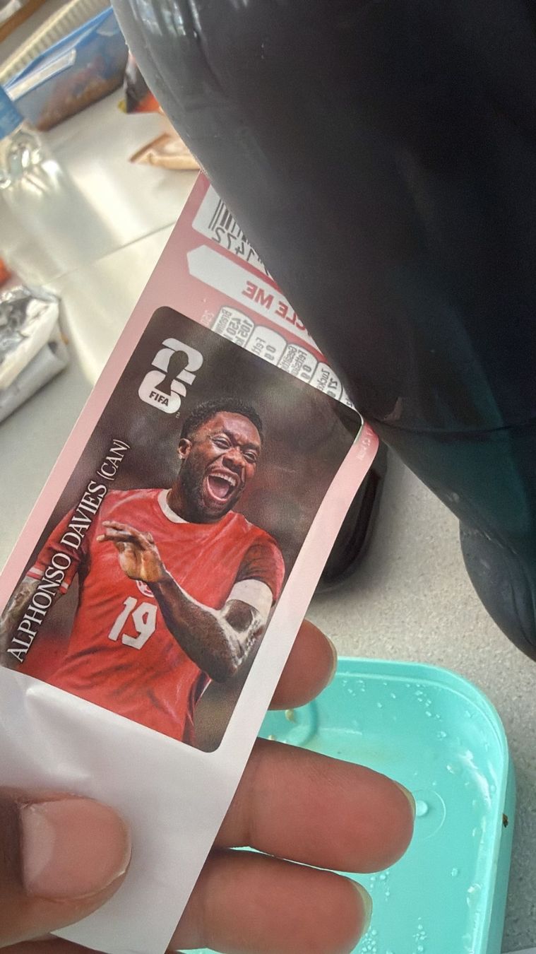 Panini Carte collezionabili: Alphonso Davies Cola Sticker CAN #CC7 – Nuovo (secondo la descrizione) da Avenches venduto da Myth_Cloth