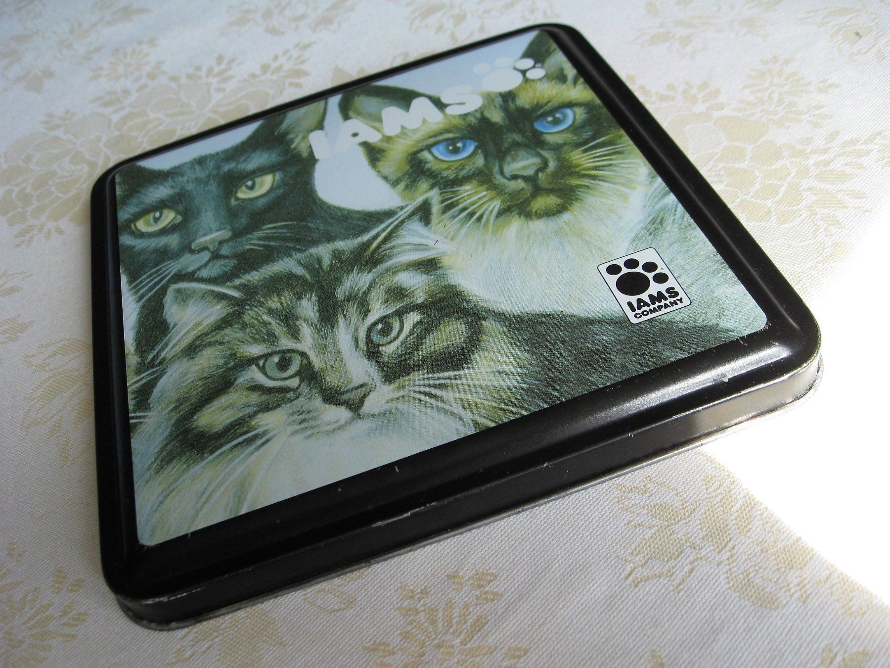 Altro in Decorazioni & Accessori: Blechdose mit Katzen von IAMS – Usato da Kriens venduto da Kraeutergarten 2