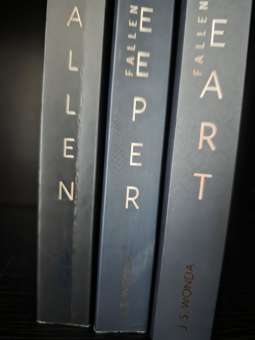Libri: J.S Wonda Fallen Reihe Dark Romance – Usato da Tägerwilen venduto da XeniaH 5