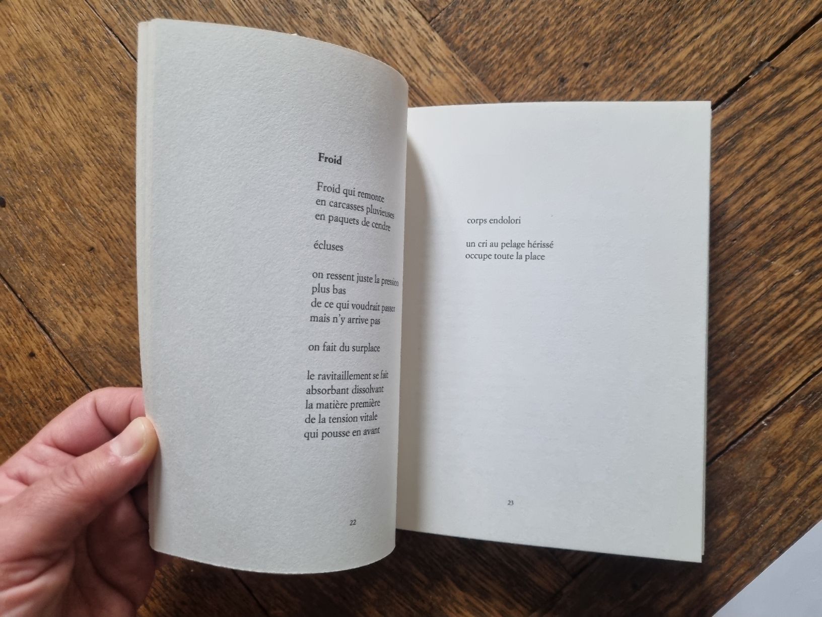 Libri: recueil de poèmes "Pieds-de-biche" de Cesare Mongodi – Usato da Fribourg venduto da sal_5ln6 5