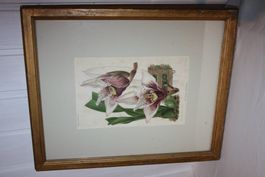 Chromolithographie