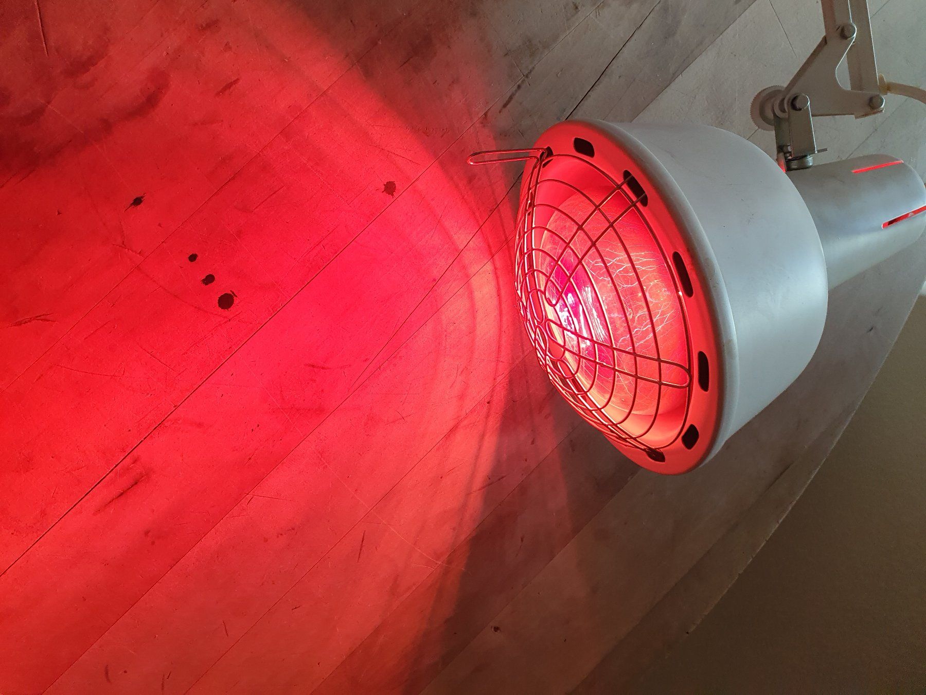 Lampade: Infrarotlampe – Usato da Zürich venduto da loosebone 8
