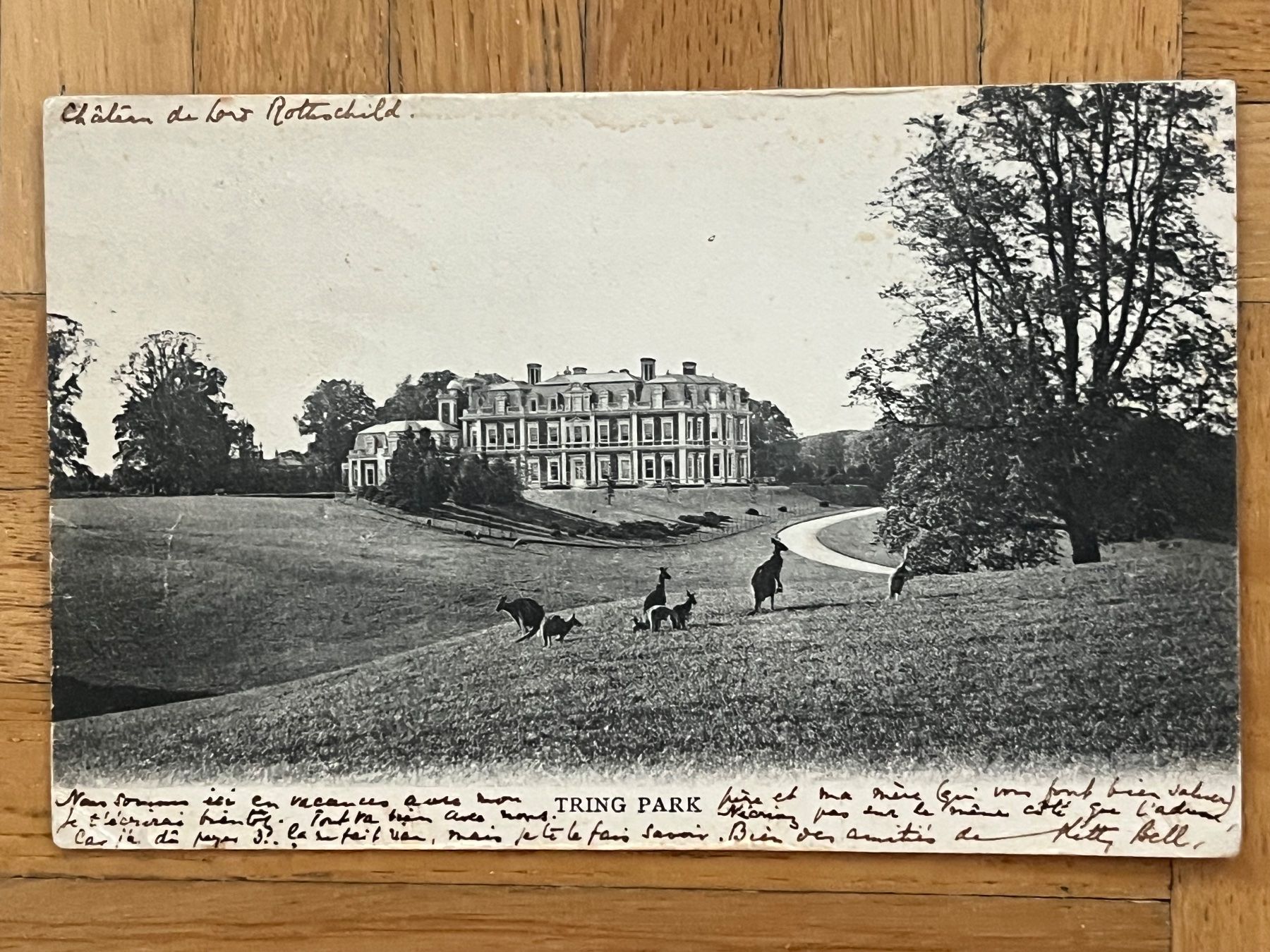 Cartes postales: Chateau de Rothschild, Tring Park 1905 – D'occasion à Romanshorn par luxcollect