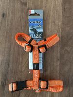 Rogz Hundegeschirr Classic Orange Doodle Grösse M neu
