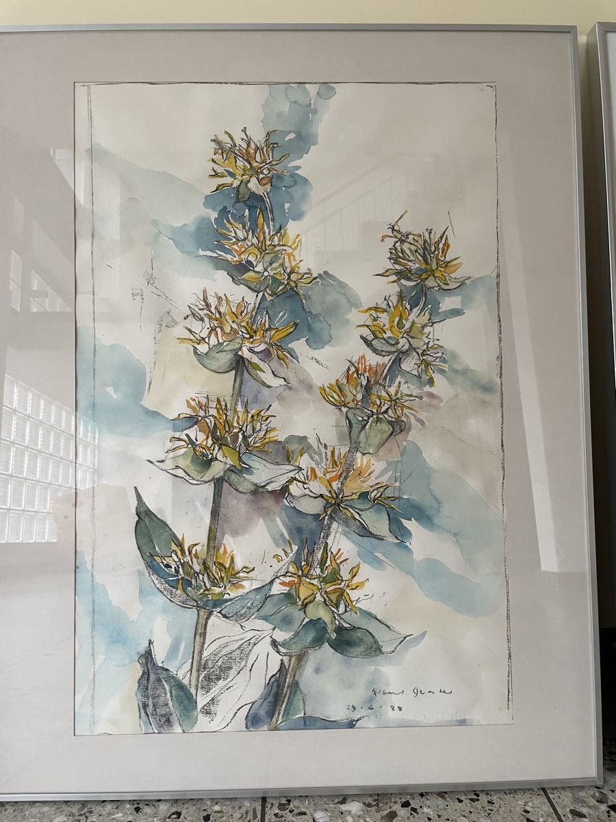 Gemälde: Aquarell von Albert Gerster – Gebraucht aus Zürich von superzapphire