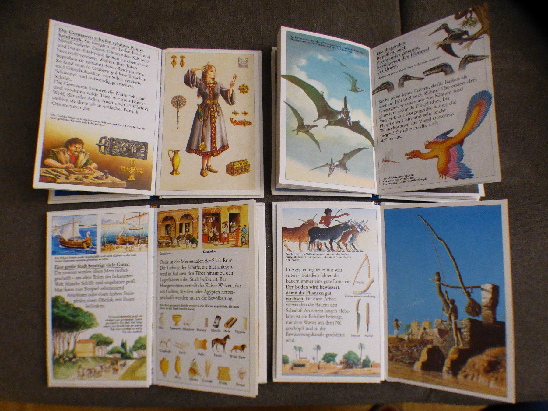Libri: 4 Bücher – Usato da Münchenbuchsee venduto da enzian59 2