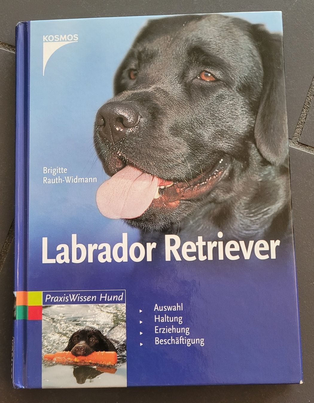 Libri: Buch Labrador Retriever  – Usato da Kappel SO venduto da Matschi86