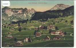 Wildhaus - Kurhaus Acker - Litho