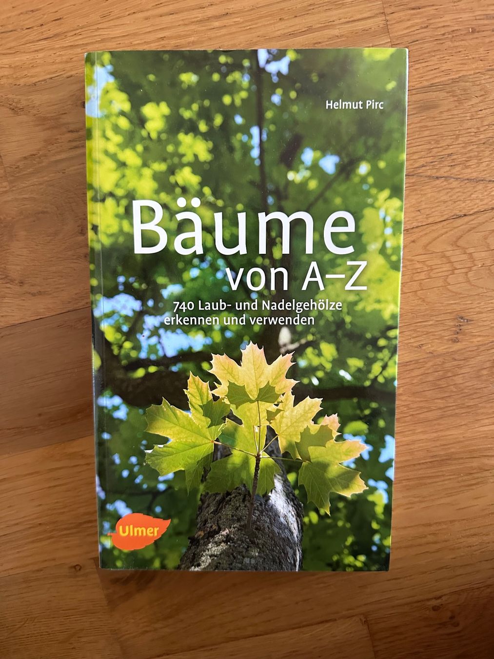 Libri: Buch Bäume von A-Z – Nuovo (secondo la descrizione) da Mönchaltorf venduto da Trider