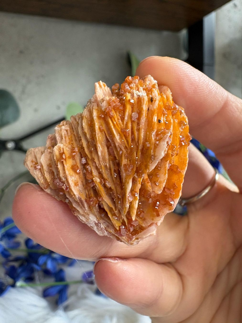 Mineralien & Heilsteine: Vanadinit auf Baryt – Neu (gemäss Beschreibung) aus Neuheim von m.hald 1
