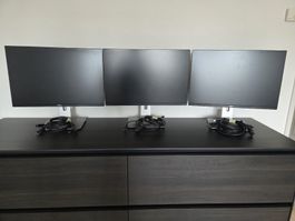 DELL Monitore 