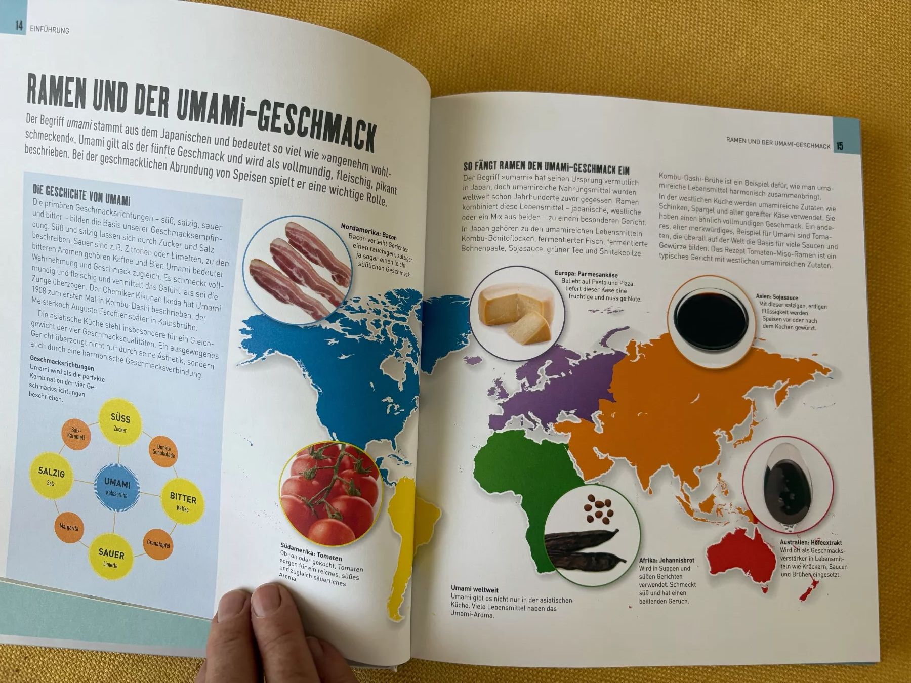 Libri: Neues Ramen-Kochbuch – Nuovo (secondo la descrizione) da Oberweningen venduto da Gerini 4