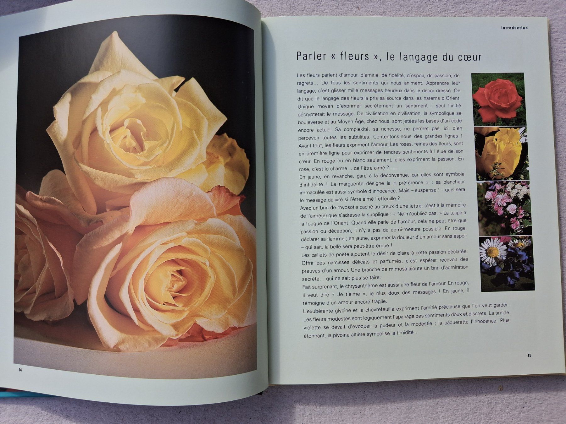 Libri: Décors de fleurs pour la maison – Usato da Fully venduto da Minouchka 1
