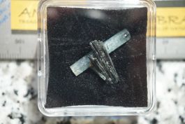 Aquamarin   im Kistli  Räumung      ab  1.-   Auktion