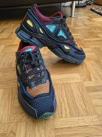 Raf Simons x Adidas Ozweego 2 Grösse 43.5