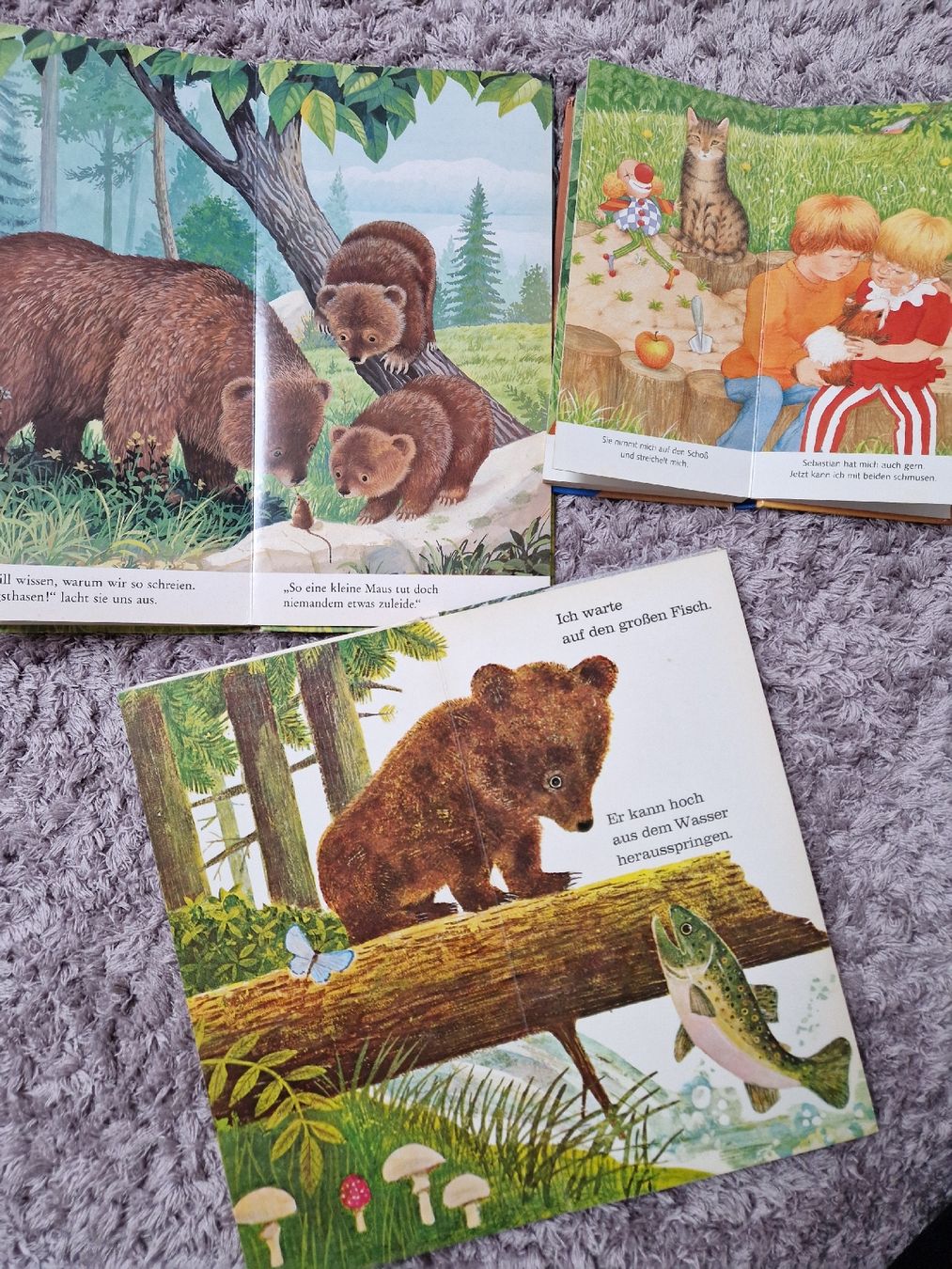 Livres: Ich bin das kleine Bärenkind – D'occasion à Henau par ale_bc8n 2