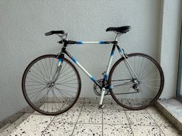 Rennrad / Stadtvelo mit Reynolds 531 und Shimano (Gr. 56cm)