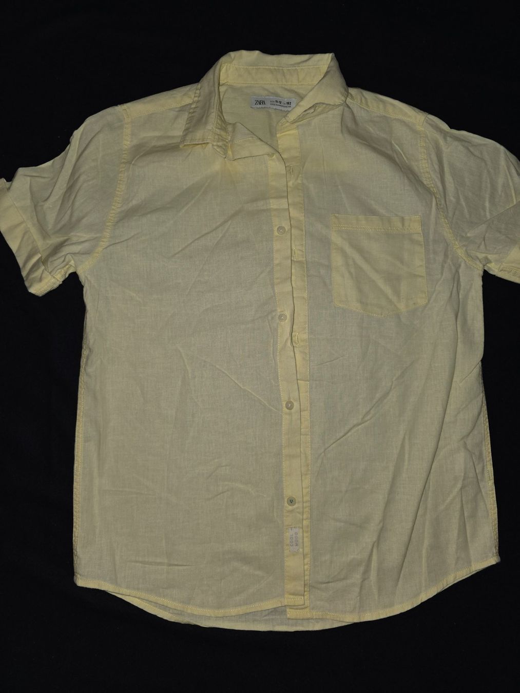 Camicie, T-shirt & Polo: 7 T-Shirts Gr 146-152 – Usato da Effretikon venduto da gonzzi 1