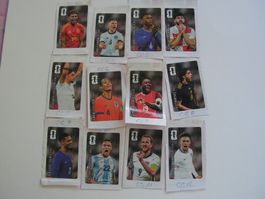 12 Coca Cola Stickers Komplett