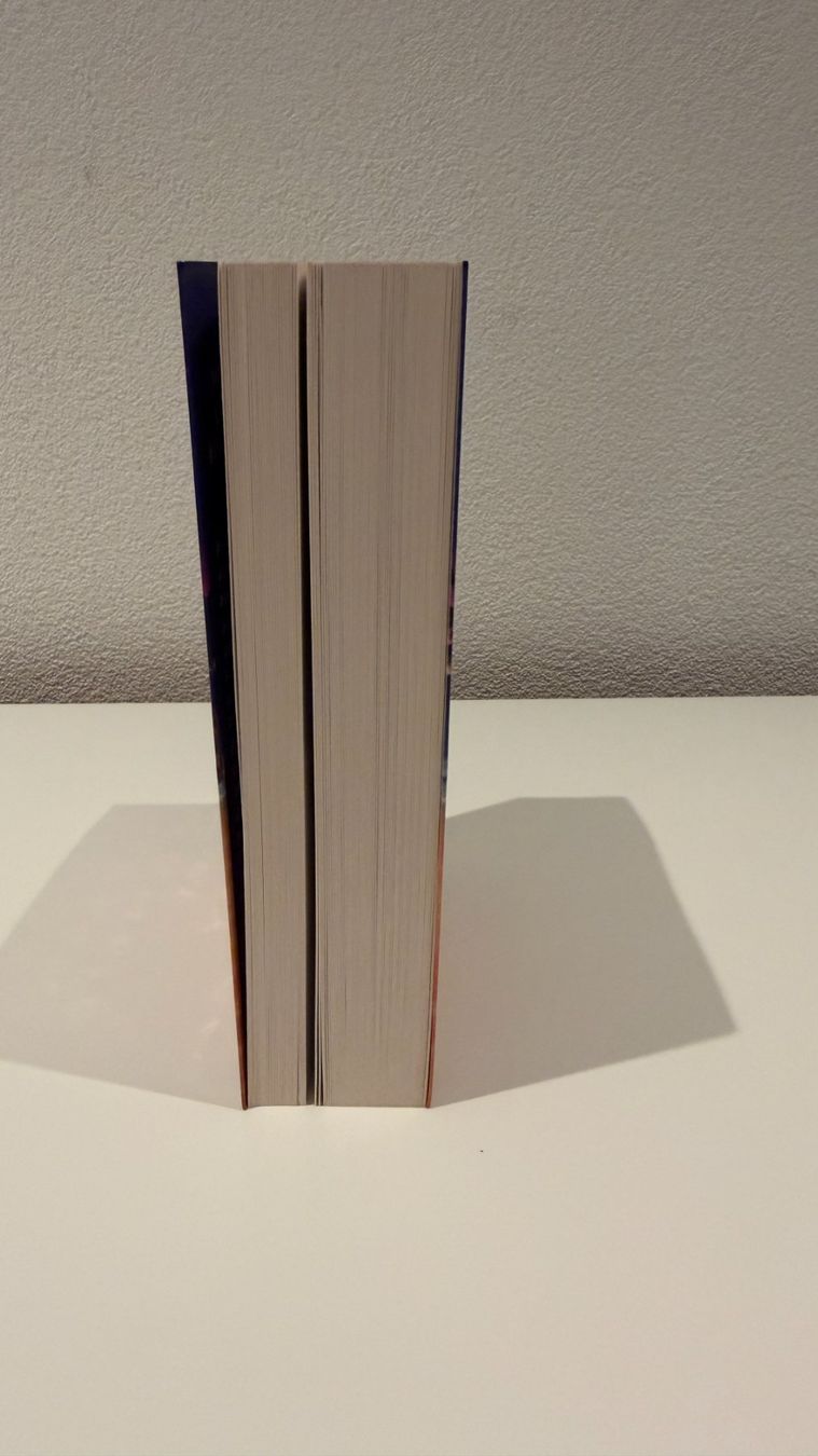 Livres: Wanna be my Lover - Ayla Dade – Neuf (Voir description) à Romanshorn par darinaah 3