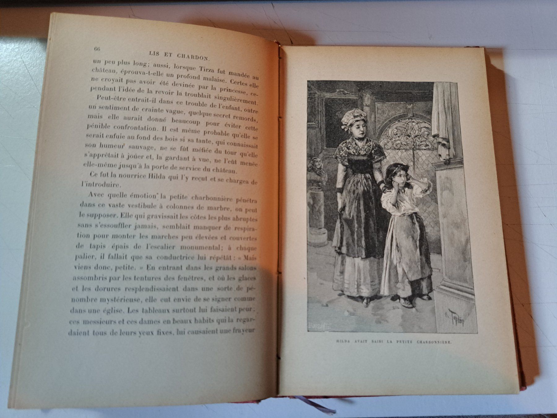 Bücher: Livre ancien 1891 : Lis et Chardon – Gebraucht aus Pailly von jme99 6